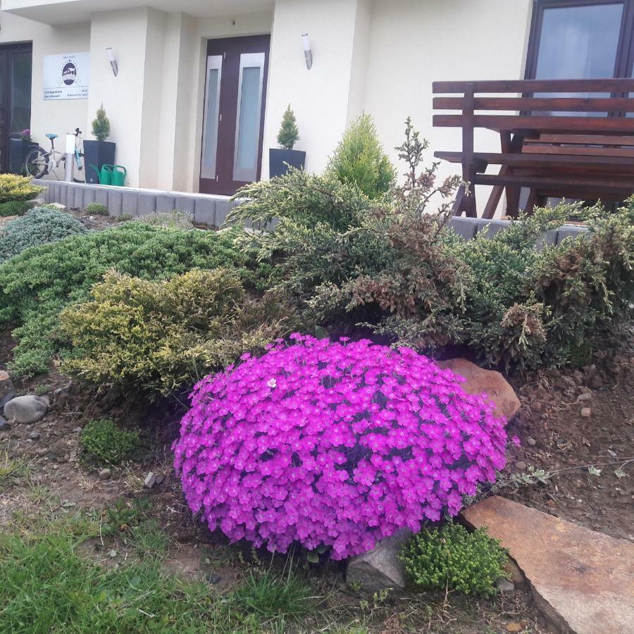 וגיירסקה גורקה Apartamenty Przy Trakcie Cesarskim מראה חיצוני תמונה